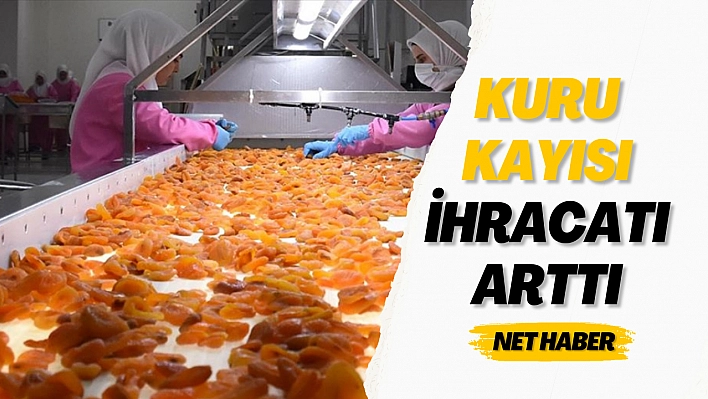 Kuru kayısı ihracatı arttı