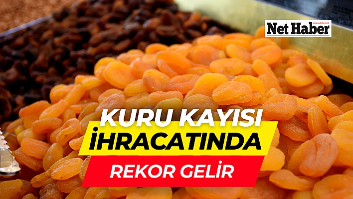 Kuru kayısı ihracatında rekor gelir