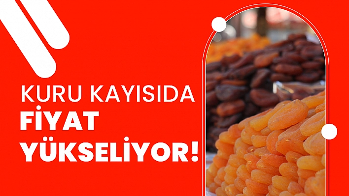 Kuru kayısıda fiyat yükseliyor!