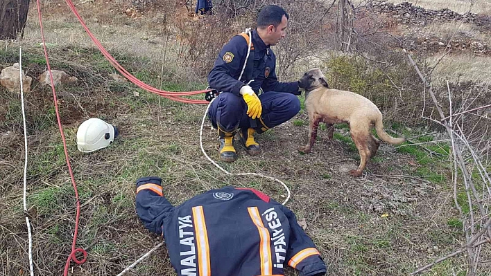 Kuyuya düşen köpek kurtarıldı