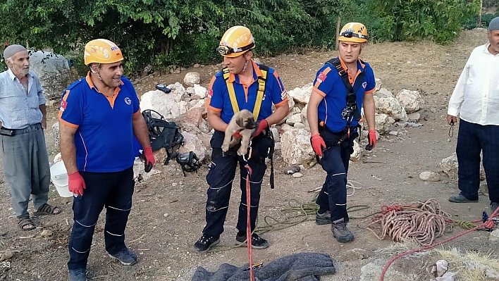 Kuyuya düşen yavru köpek kurtarıldı