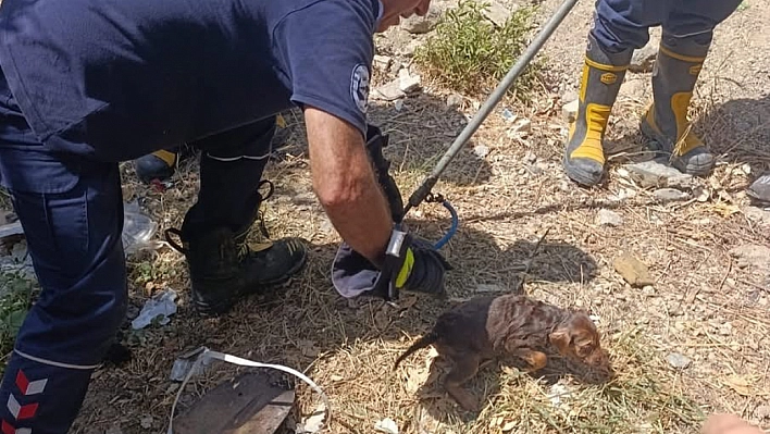 Kuyuya düşen yavru köpek kurtarıldı