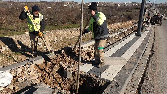 Kuzey kuşak yolu ağaçlandırılıyor