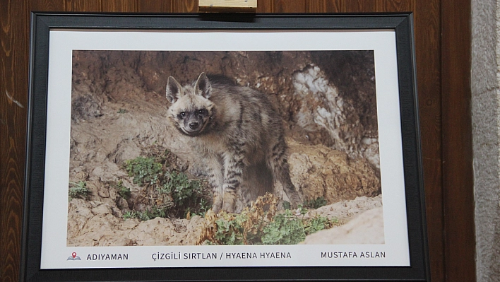 Lösemi çocukların umudu oldu