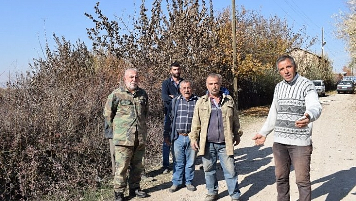 Mahallelinin yol çağrısı