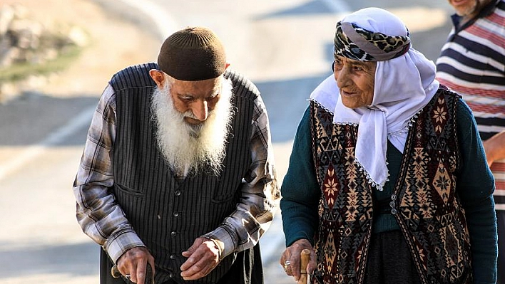 Mahallenin 'ulu çınarları'