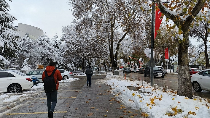 Malatya bu yıl 'Kocakarı soğuklarını' yaşamayacak