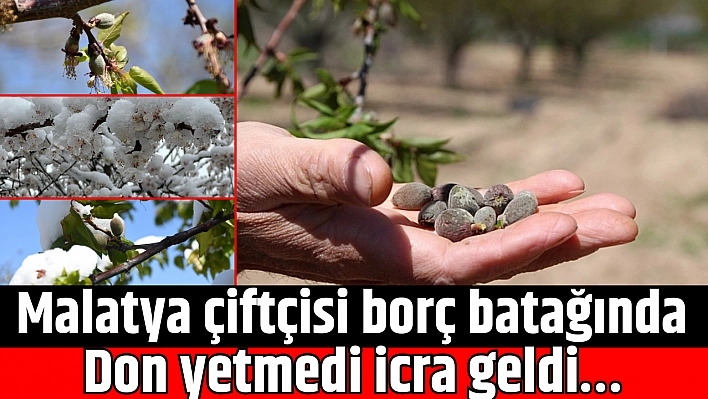 Malatya çiftçisi borç batağında: Don yetmedi icra geldi…