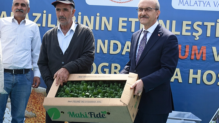 Malatya'da 1 milyon 850 bin sebze fidesi dağıtımına başlandı