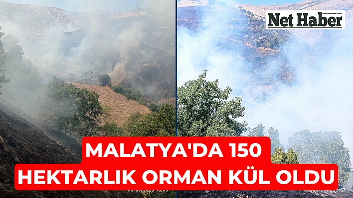 Malatya'da 150 hektarlık orman kül oldu
