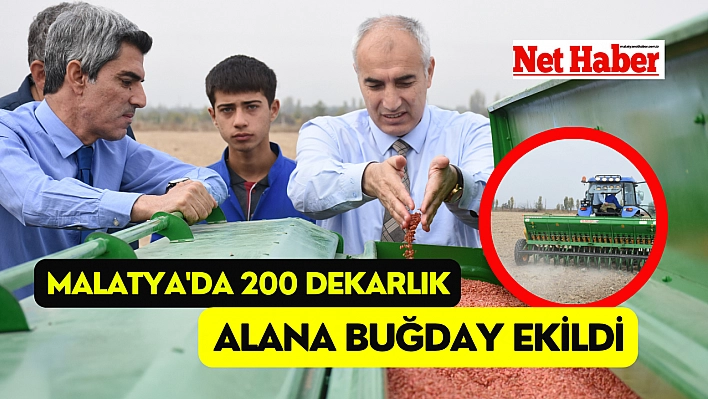 Malatya'da 200 dekarlık alana buğday ekildi