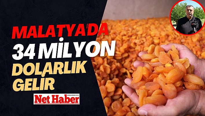 Malatya'da 34 milyon dolarlık gelir