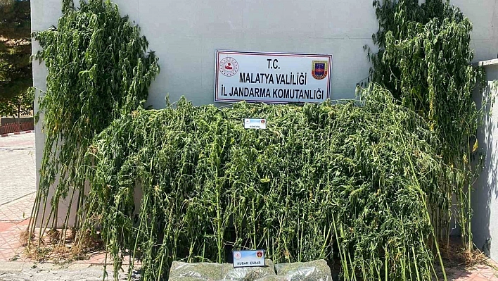 Malatya'da kilolarca esrar ele geçirildi