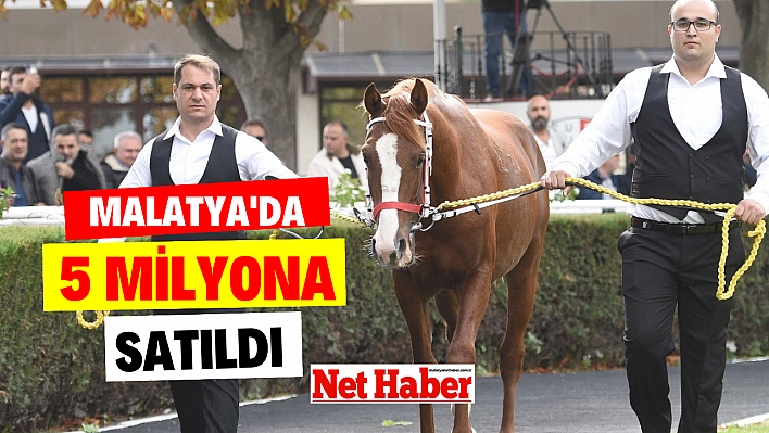 Malatya'da 5 milyona satıldı