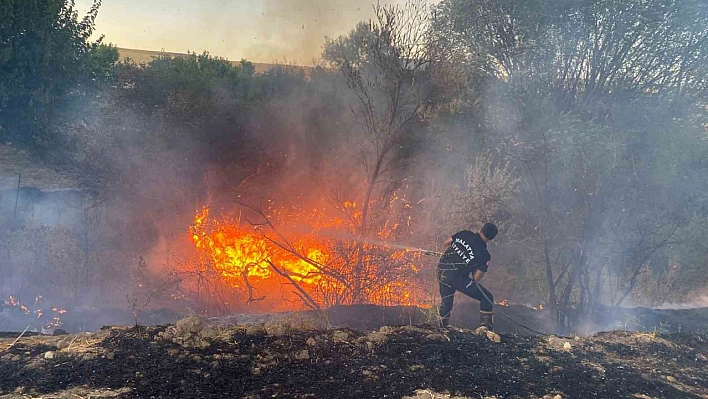 Malatya'da anız yangını: Onlarca dönüm küle döndü...