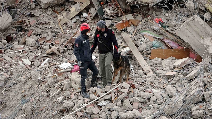 Arama kurtarma köpekleri devrede