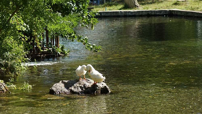 Malatya'da Artan Sıcaklıklara Karşı Serin Bir Kaçış: İşte Şehrin En Güzel Piknik Alanları!