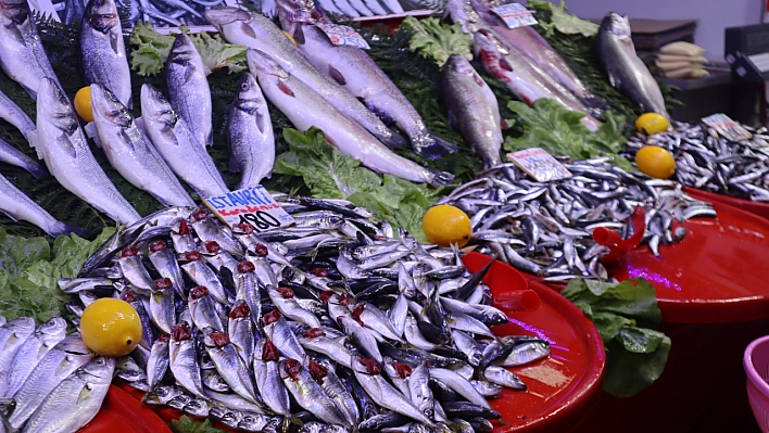 Malatya'da Balık Sezonu Başladı! En Ucuz Balık Hangisi? İşte Fiyatlar...