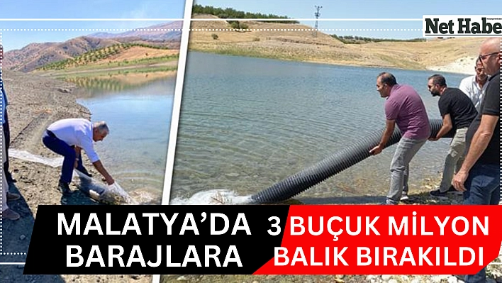 Malatya'da barajlara 3 buçuk milyon balık bırakıldı