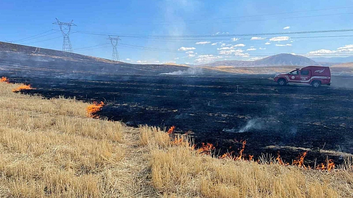 Malatya'da bin dönümlük alanda yangın!