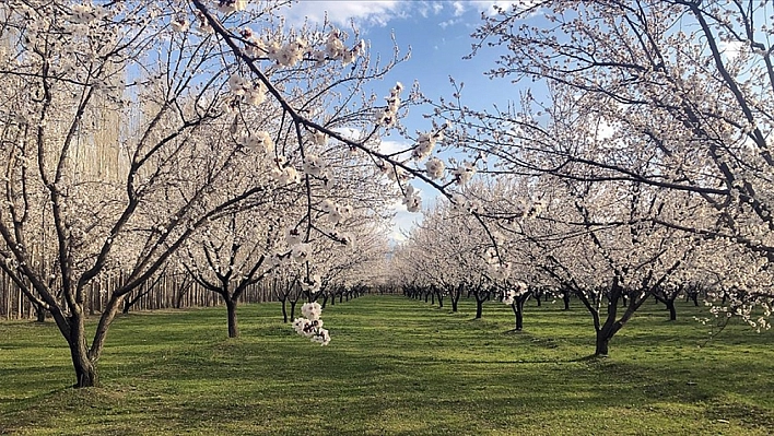 Malatya'da bugün hava nasıl olacak?