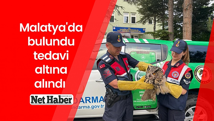 Malatya'da bulundu tedavi altına alındı