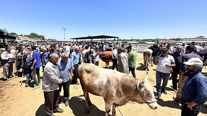 Hayvan Pazarı'nda Arife günü yoğunluğu