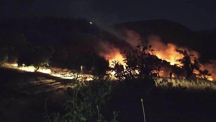 Malatya'da dağlık alanda çıkan örtü yangınına müdahale ediliyor