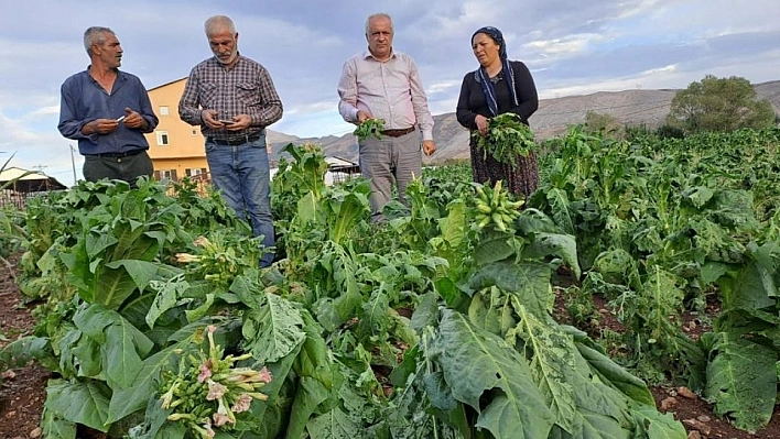 Dolu yağışı zarar verdi