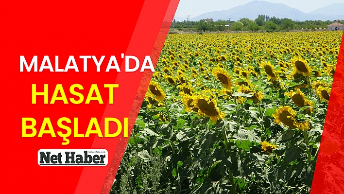 Malatya'da hasat başladı