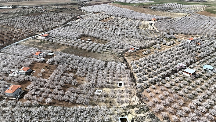 Malatya'da Hava Sıcaklığı -4 Dereceye Düşecek: Üreticiler Tedirgin!