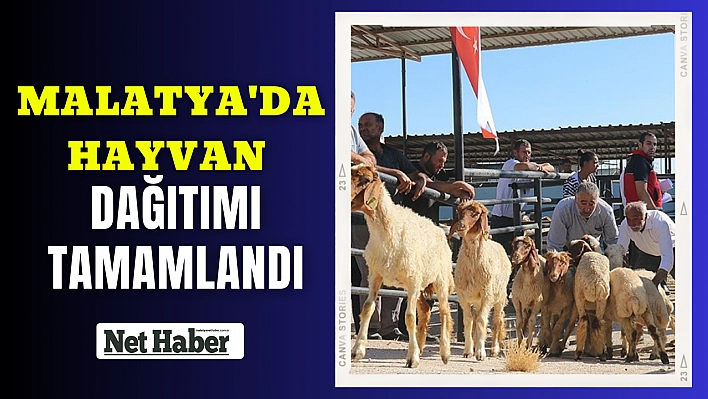 Malatya'da hayvan dağıtımı