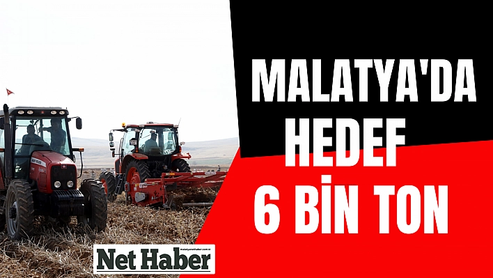 Malatya'da hedef 6 bin ton