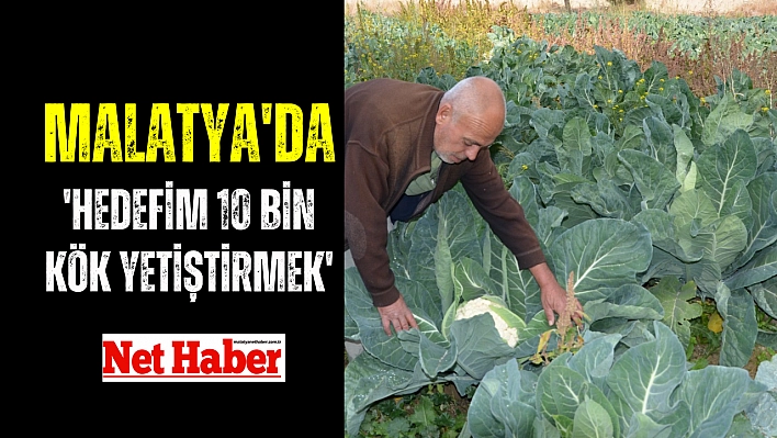 'Hedefim 10 bin kök yetiştirmek'