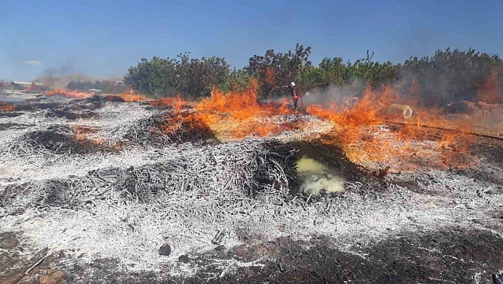 Malatya'da iki ayrı noktada yangın