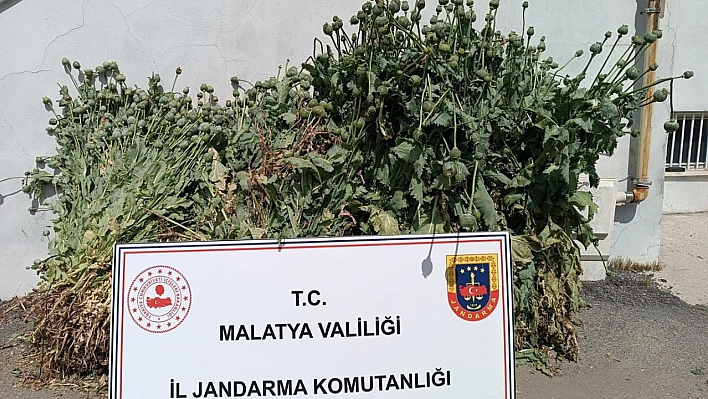 Malatya'da jandarmadan uyuşturucuya darbe: 18 firari yakalandı