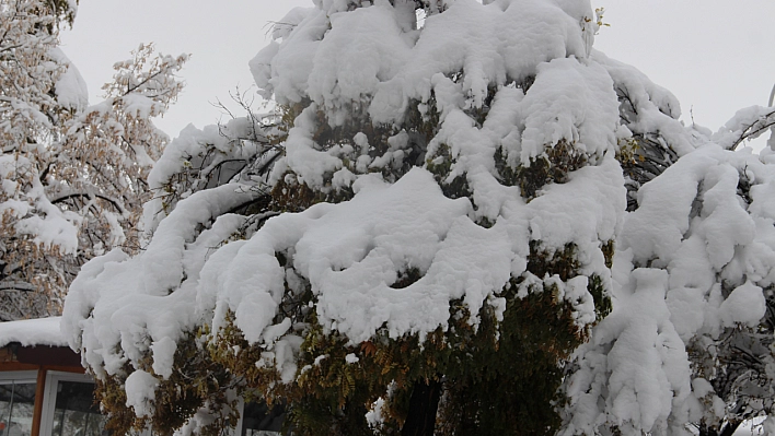 Meteoroloji Uyardı! Göz Gözü Görmeyecek, Malatya'ya Kar Geliyor!