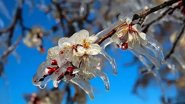 Malatya'da Kar Yağışı Bitti, Hava Buz Kesti! Sıcaklıklar Sıfırın Altına Düştü....