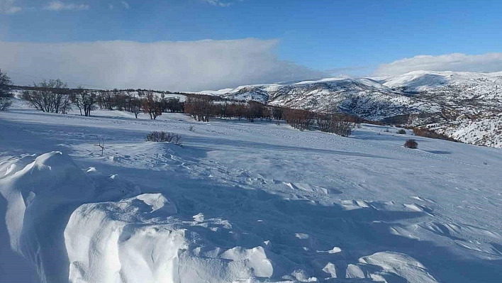 Malatya'da Kar Yerini Fırtına ve Tipiye Bıraktı!