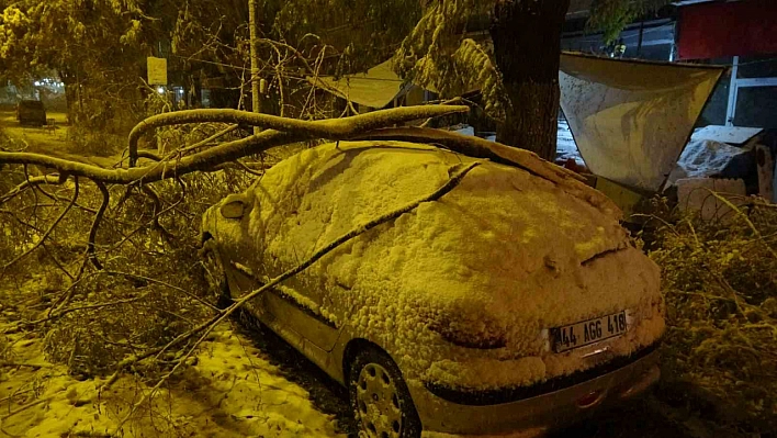 Ağaç dalları araçların üzerine devrildi