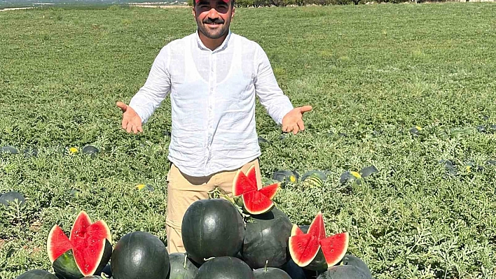 Malatya'da don kayısıyı vurdu: Çiftçinin yüzünü karpuz ve kavun güldürdü