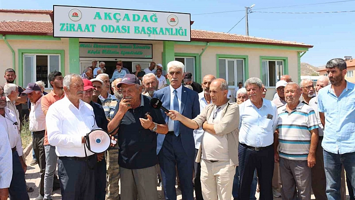 Malatya Kayısısı Fiyatları Dipte! Kayısıda Fiyat Şoku!