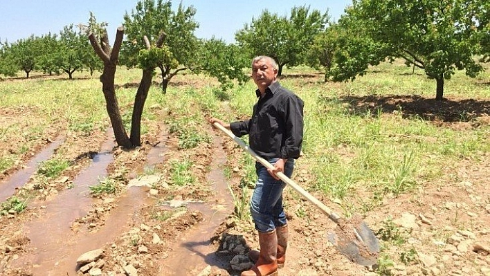 Rekolte tartışmaları sürüyor