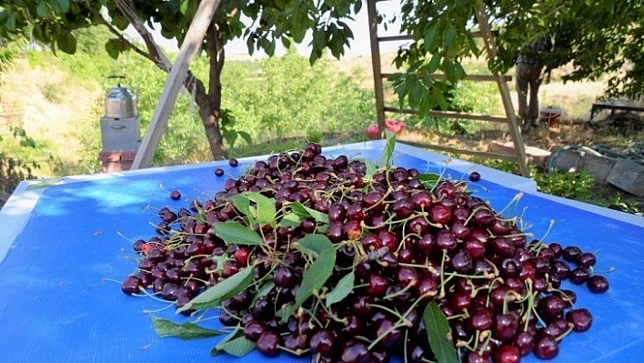 Üretici emeğinin karşılığını alamadı