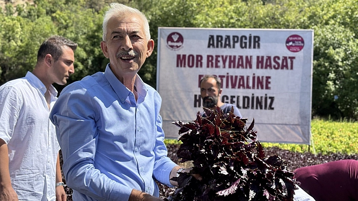 Malatya'da Kozluk Çayı kenarında hasadı başladı. Bölge ekonomisine katkı sağlıyor