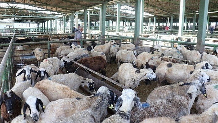 Kurban Bayramı tedbirleri