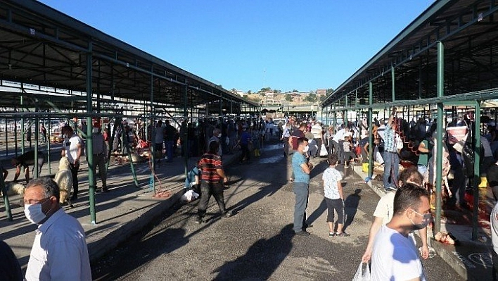 Kesim alanlarında yoğunluk