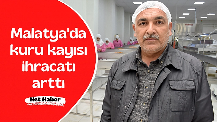 Kuru kayısı ihracatı arttı