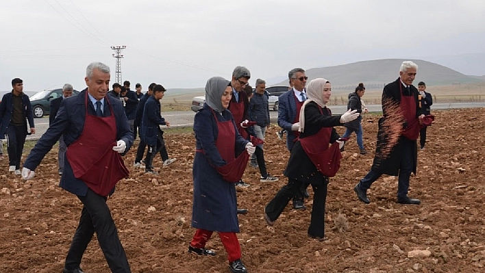 Öğrenciler buğday ekti