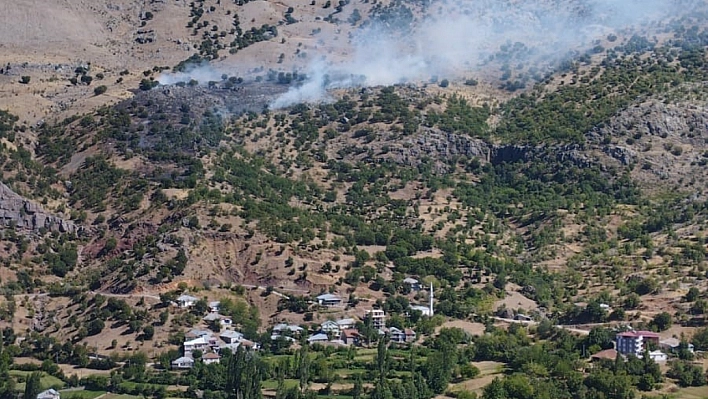 Malatya'da orman yangını